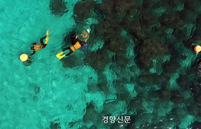 노란 수영복에 섹시한 몸매 어필하는 존예 처자