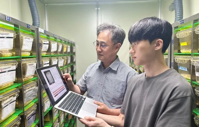 노란 수영복에 섹시한 몸매 어필하는 존예 처자