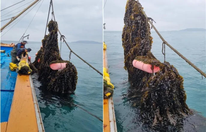 노란 수영복에 섹시한 몸매 어필하는 존예 처자