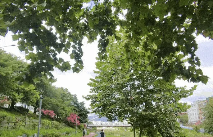 노란 수영복에 섹시한 몸매 어필하는 존예 처자