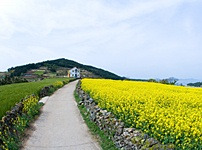 화제 카페 이미지