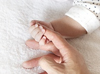 화제 카페 이미지