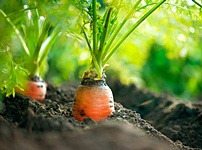 화제 카페 이미지