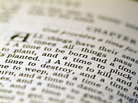 화제 카페 이미지