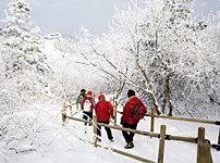 화제 카페 이미지