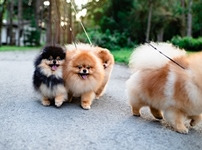 화제 카페 이미지