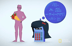 [유튜브]유유상종 이론 (내셔널 지오그래픽)