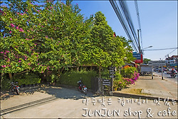 태국 치앙마이 컵케잌이 맛있는 준준카페 / JUNJUN SHOP&CAFE, Chiangmai, Thailand