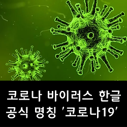 신종코로나 바이러스 한글 공식 명칭 '코로나19'