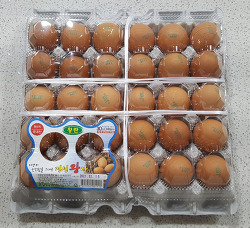 농협 하나로마트 계란 1판 (30개) 가격 - 대란, 특란, 왕란 - 2021년 12월 31일 기준