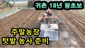 삽질은 이제그만,왕초보의 주말농장 텃밭 농사 준비 (feat. 경운기 로터리)