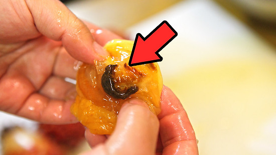 멍게 속 검은 덩어리, 먹어도 될까?