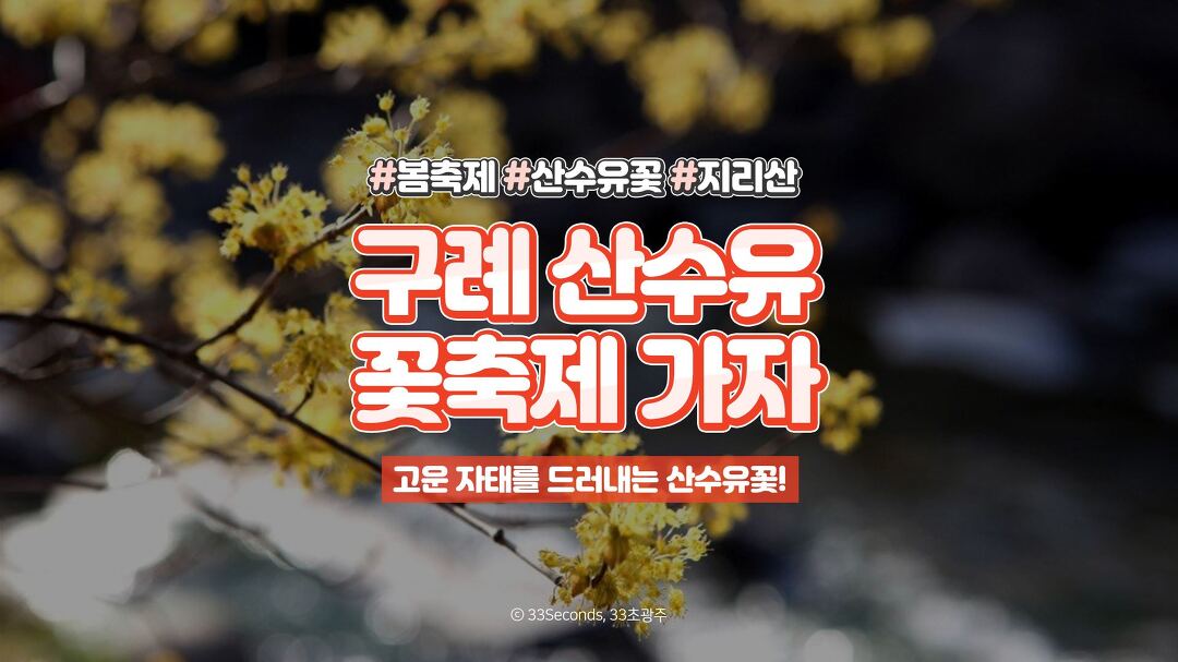 이미지 7