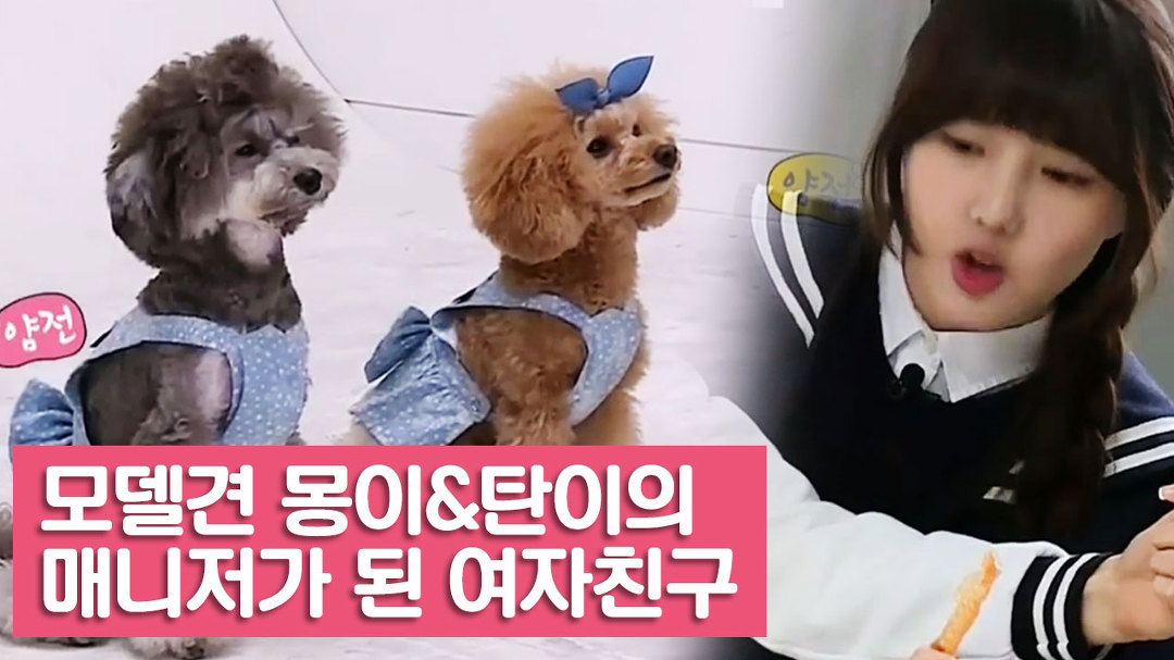 여자친구, 몽이와 탄이의 매니저가 되다! [여자친구! 강아지를 부탁해] 2회 - kakaoTV 여자친구, 몽이와 탄이의 매니저가 되다! [여자친구!... 