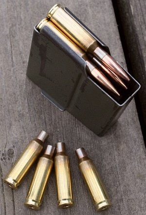 http://accurateshooter.net/GOTW/zakmagx300.jpg