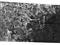 Thumbnail image. Click to load APOD for this date