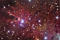Thumbnail image. Click to load APOD for this date