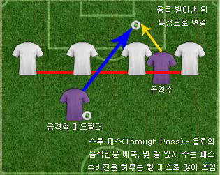 스루 패스.JPG