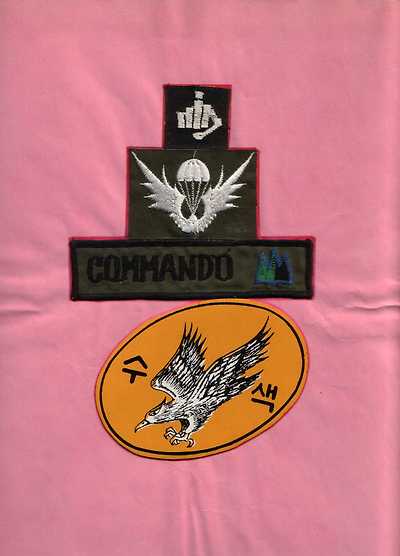 실제 크기로 보시려면 클릭해 주세요