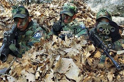 실제 크기로 보시려면 클릭해 주세요