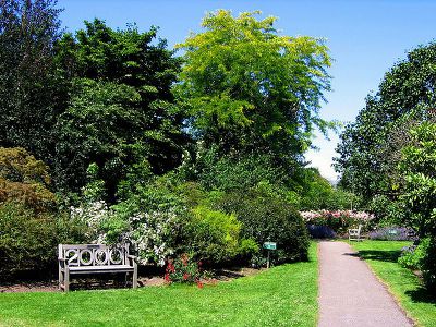 사랑정렬그리움