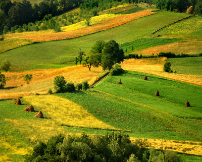 송운 사랑방 (Song Woon Art Hall)