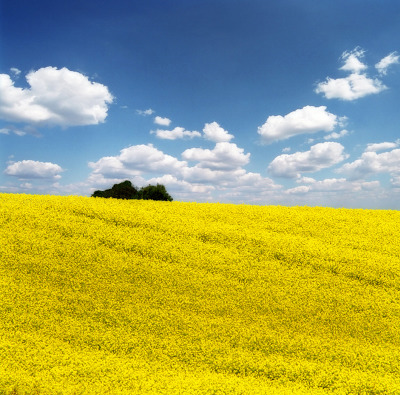 송운 사랑방 (Song Woon Art Hall)