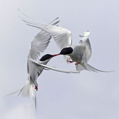 Photos_25.jpg