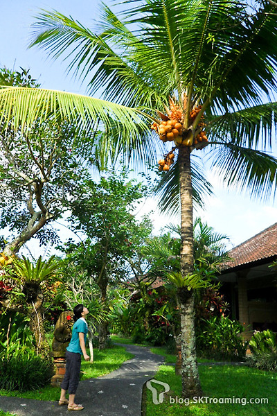 [여행Tip]신들의 섬으로 떠나자, 인도네시아 발리 여행정보