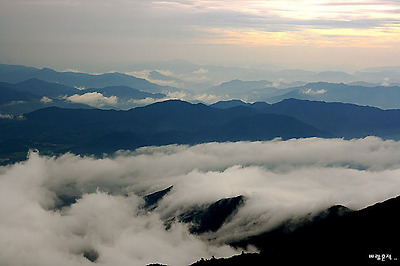 사랑과평화의샘