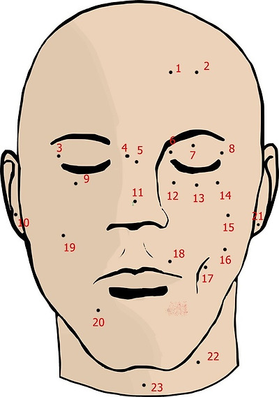 멘코이세상 :: 얼굴점 관상, 남자 얼굴점으로 알아보는 관상