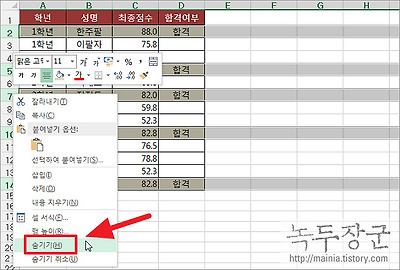 엑셀 Excel 숨겨진 행 제외하고 보이는 데이터만 복사하는 방법