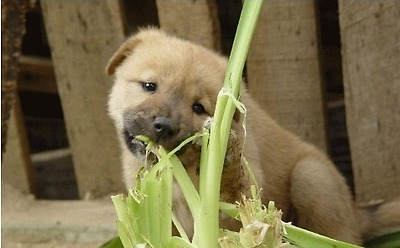 넌센스퀴즈 모음