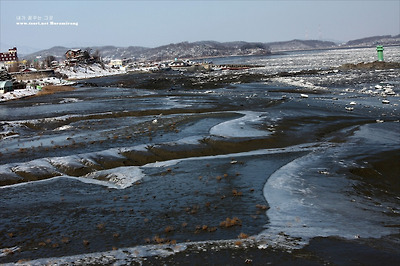 강화해협 썰물이 만든 신비하고 놀라운 광경