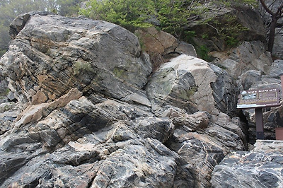 인천 섬 여행! 꿈같은 섬 대이작도