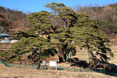 사랑과평화의샘