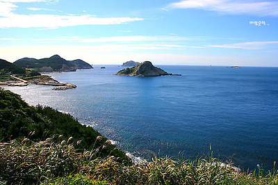 사랑과평화의샘