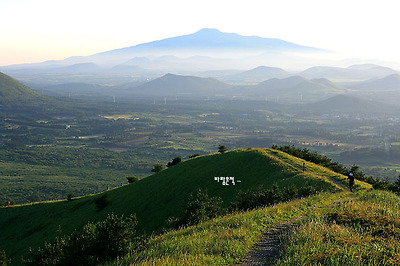 사랑과평화의샘