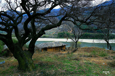 사랑과평화의샘