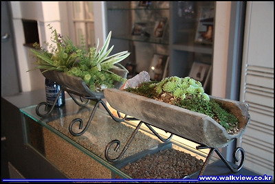 구미호 김해맛집