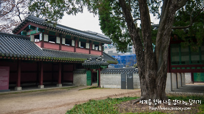 창덕궁 궐내각사 특별관람