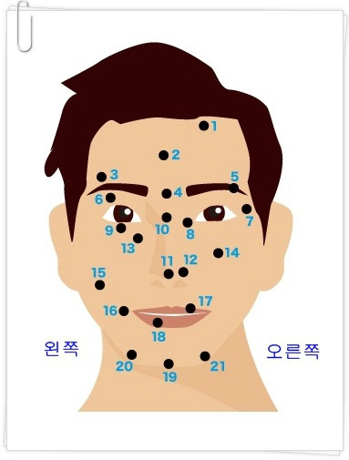 얼굴 점 관상 , 남자얼굴 점에 얽힌 관상 볼께요. | 평범한 특별함