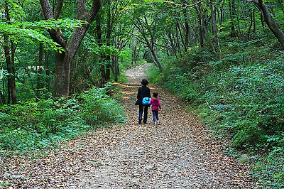 사랑과평화의샘