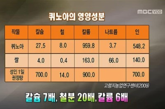 퀴노아효능에 대한 이미지 검색결과