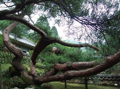 정호승 시인의 ‘그 곳’ 선암사 해우소서 삶을 깨닫다.