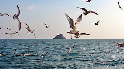 바다관광 태종대-주전자섬::OmnisLog