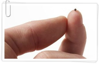  겨자씨의 크기 - 겨자씨 만한 믿음