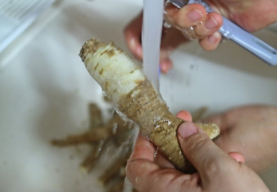 더덕 효능 더덕구이 요리 황금레시피