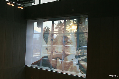 사랑과평화의샘