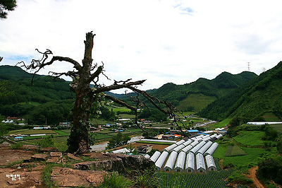 사랑과평화의샘